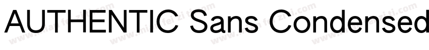 AUTHENTIC Sans Condensed 130字体转换